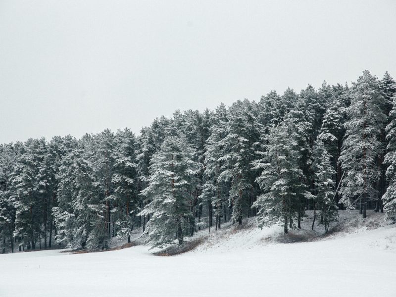 Калужская область, Дубльдом, PineRiverHills.